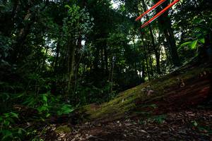 BIB: 
                            <button type="button" onclick="openModal(15972487)" class="btn btn-primary btn-sm float-right btn-popup" data-toggle="modal" data-target=".modal-high-quality">
                        <i class="fas fa-shopping-cart"></i> Add to Cart
                    </button>
                                            <button type="button" onclick="isThisMe(15972487, true)" class="btn btn-success btn-sm float-right btn-popup btn-isme hidden" data-toggle="tooltip" data-placement="bottom" title="นี่คือรูปของคุณใช่ไหม คลิกที่นี่เพื่อเอาเข้าอัลบั้ม">
                        <i class="fas fa-plus"></i> Add to album
                    </button>
                    <button type="button" onclick="isThisMe(15972487, false)" class="btn btn-warning btn-sm float-right btn-popup btn-isnotme hidden">
                        <i class="fas fa-ban"></i> Remove from album
                    </button>